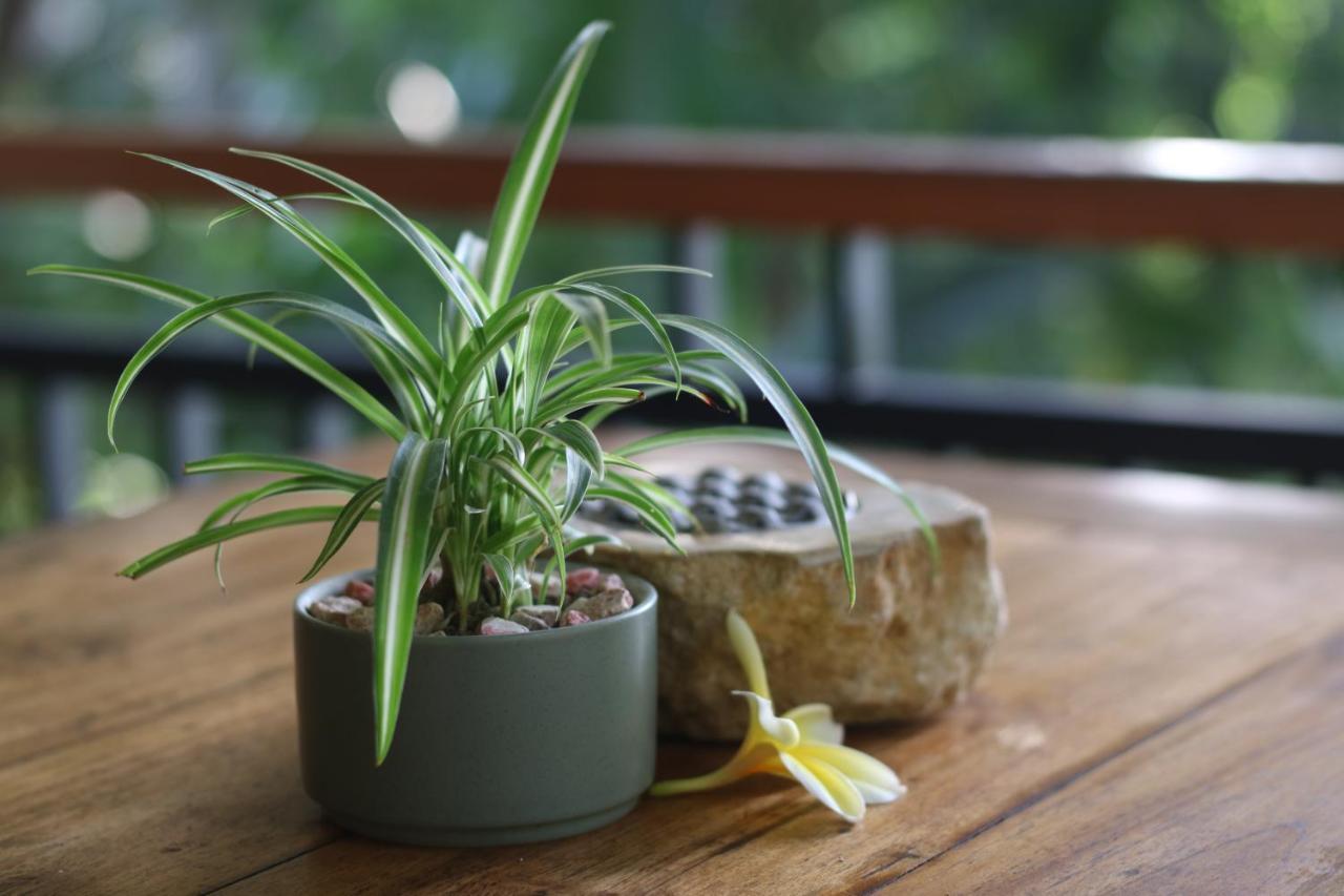 Villa Capung Mas Ubud Exteriör bild