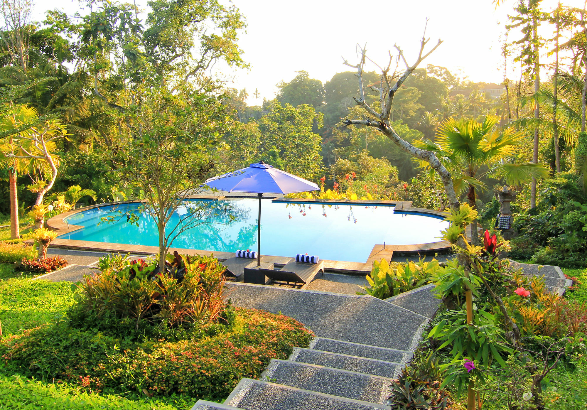 Villa Capung Mas Ubud Exteriör bild