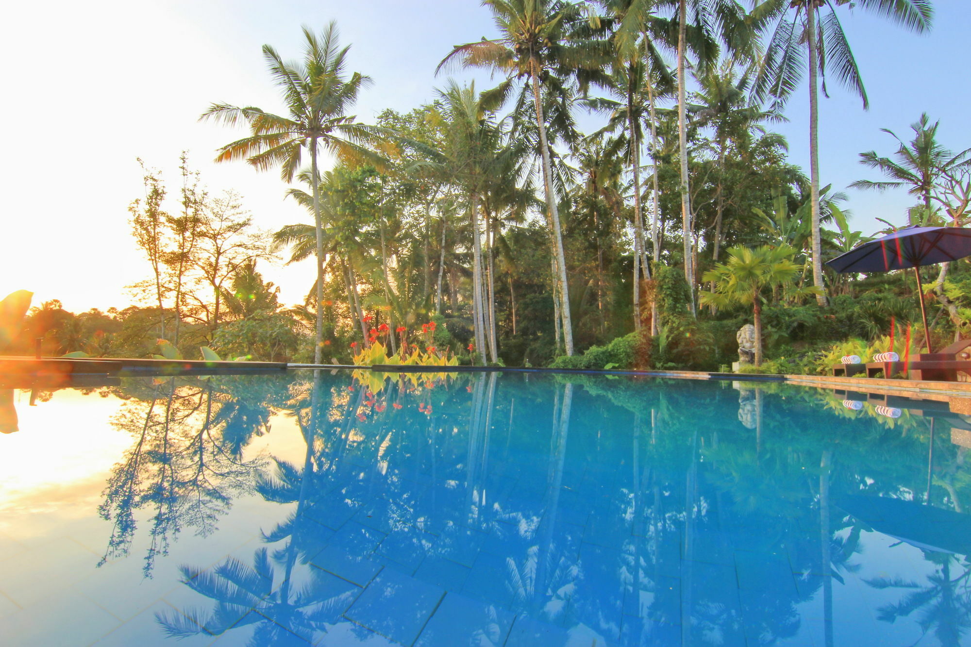 Villa Capung Mas Ubud Exteriör bild